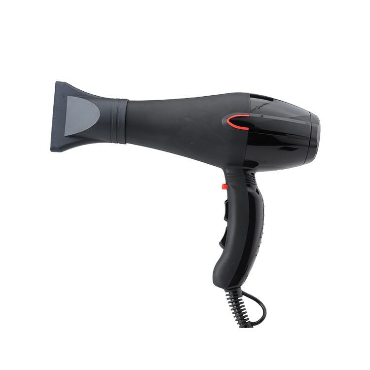 Electric Hair Dryer